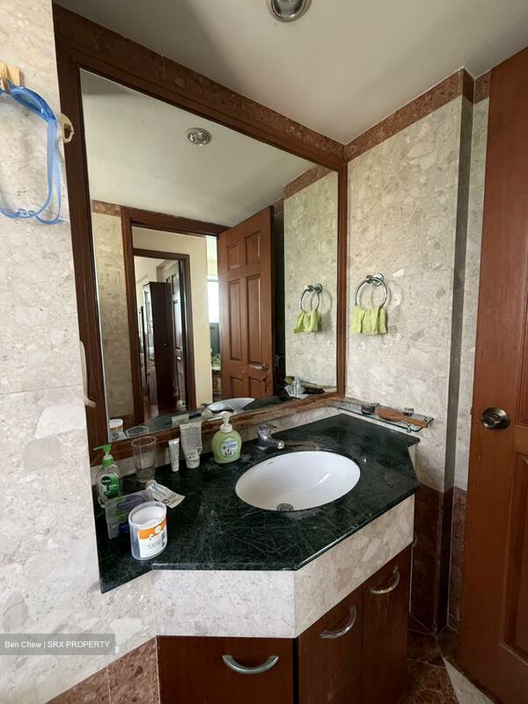 The Springbloom (D19), Condominium #512844791